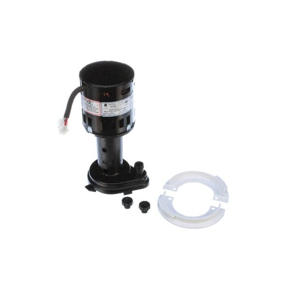 Water Pump Assembly